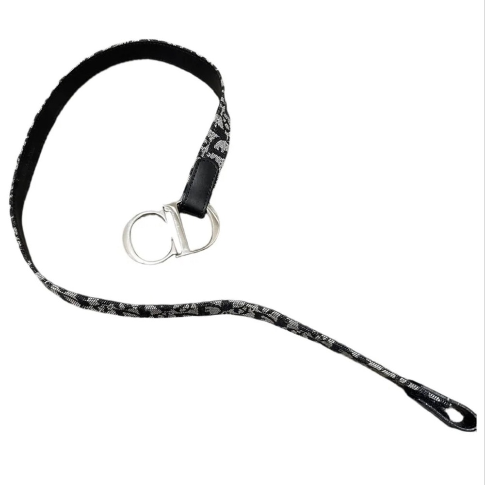 Dior Black and Silver Belt